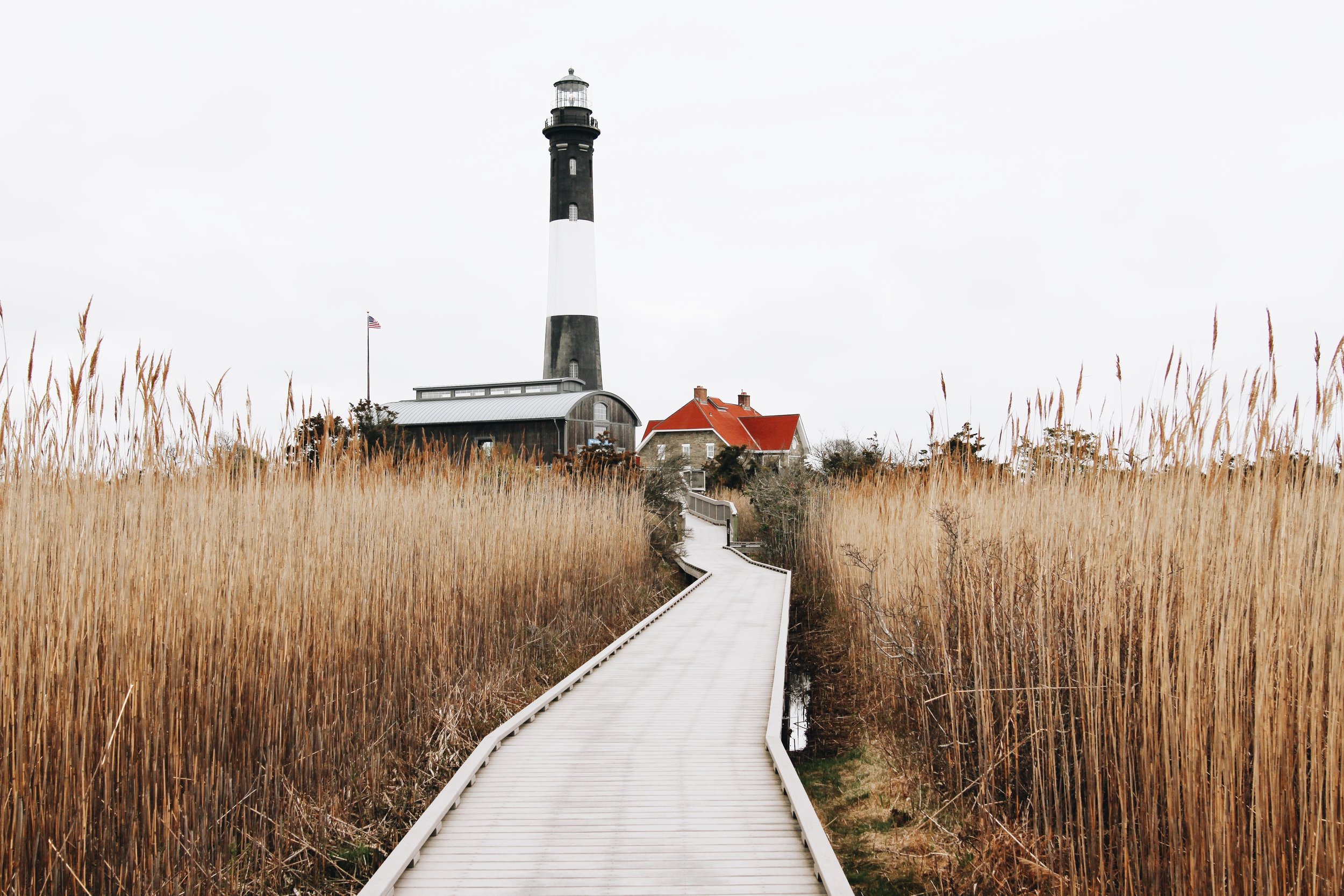 Earth Day on Fire Island 