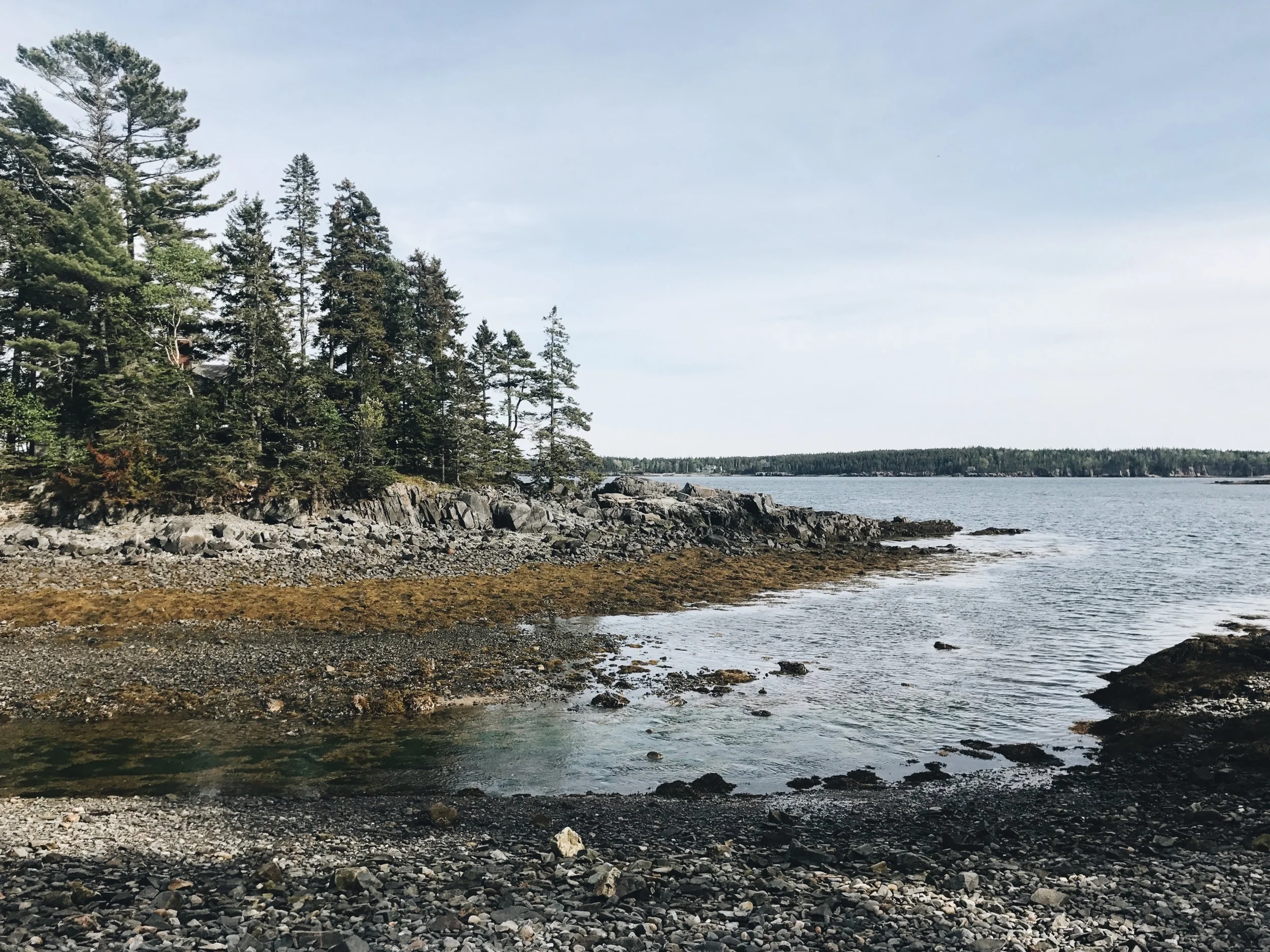 ↟ Acadia National Park ↟