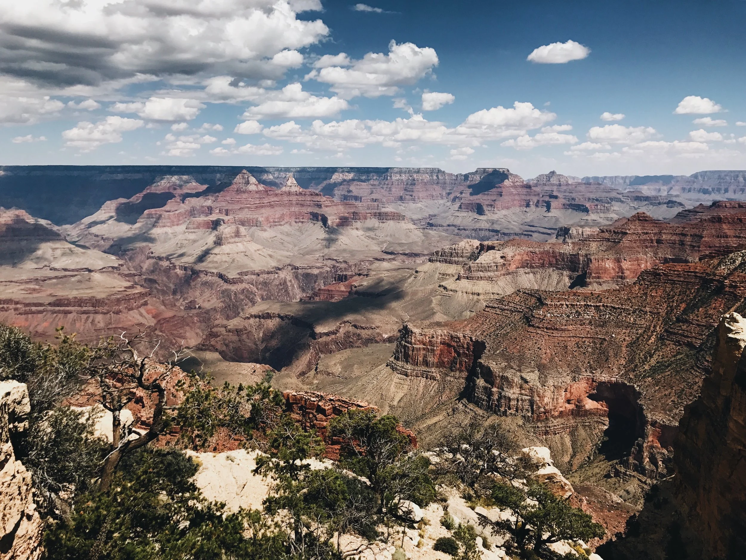 Desert Roamin' in Arizona 