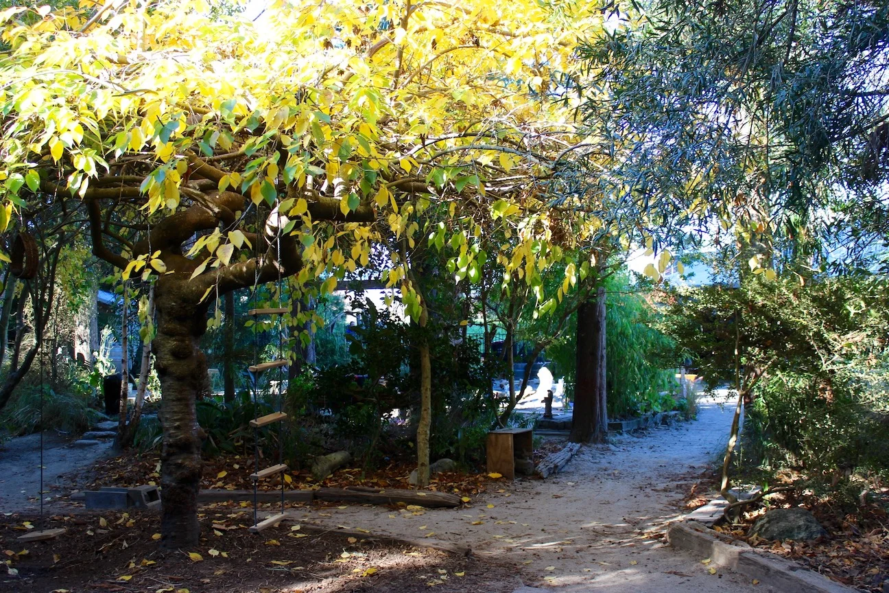 Outdoor environment - The Nest