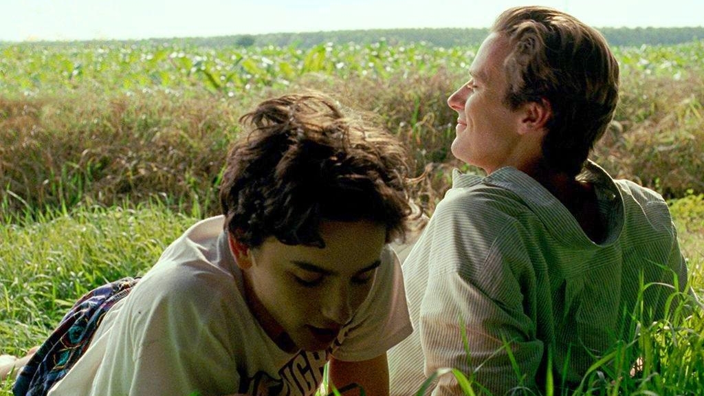"Call Me By Your Name" and "The Shape of Water" lead 2017 nominees