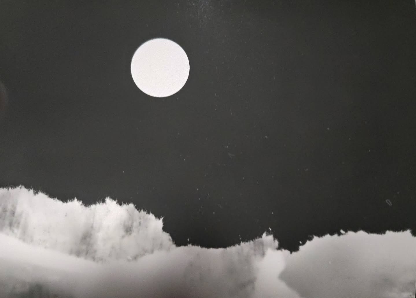Quickie photogram I pulled this weekend.
Been deep cleaning and organizing the @wrcraftcenter darkroom for a relaunch later this spring. Scrubbing down ages of dust from the machines and rerouting the electrical cables to their correct directions i