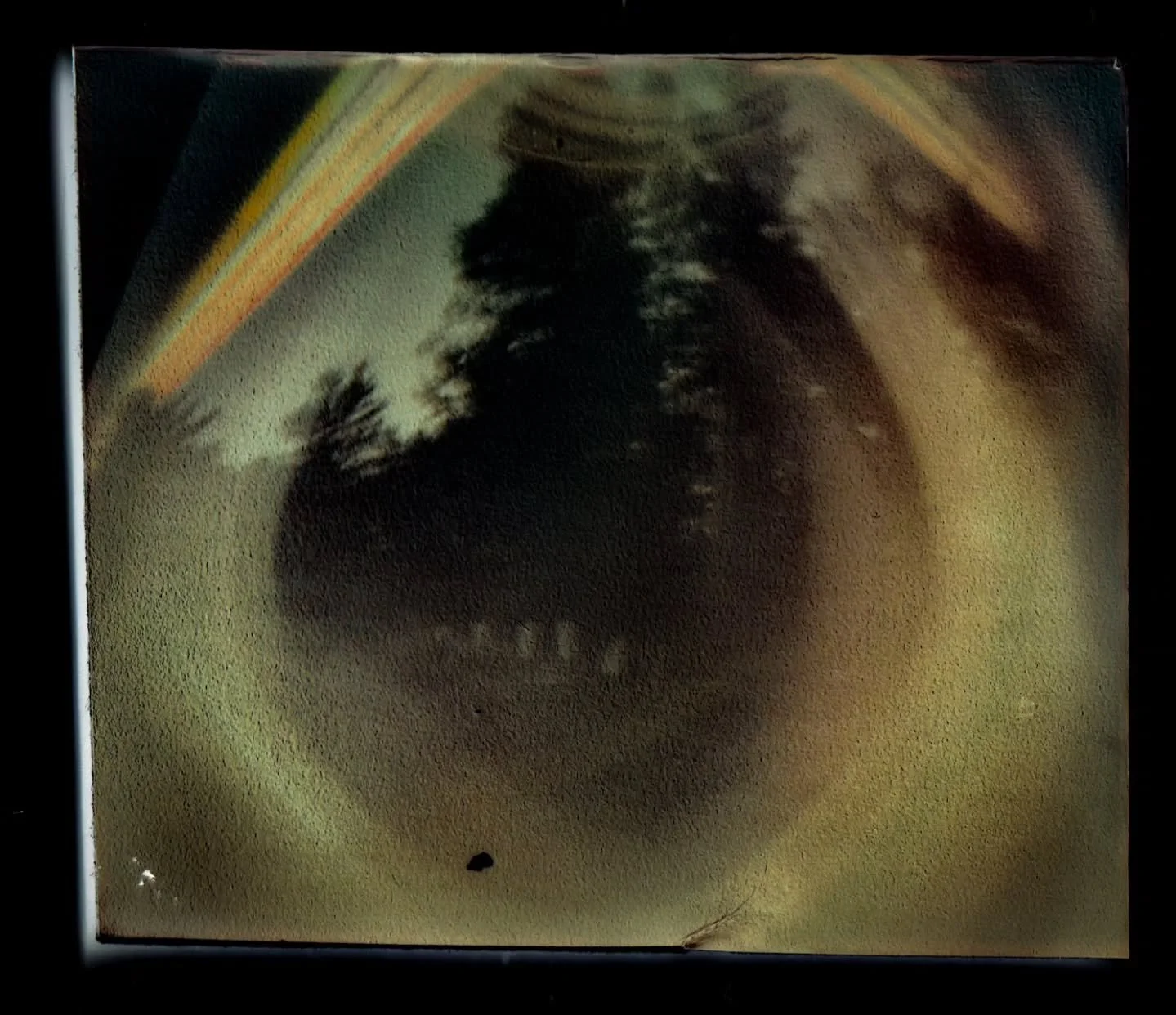 Last of this round of pinholes retrieved, this one overlooking the bee yard at Wolfdales. The plan is for a larger box pinhole to go up on the roof in the next couple of days to catch a year starting on the Equinox.

 @jarthurloose