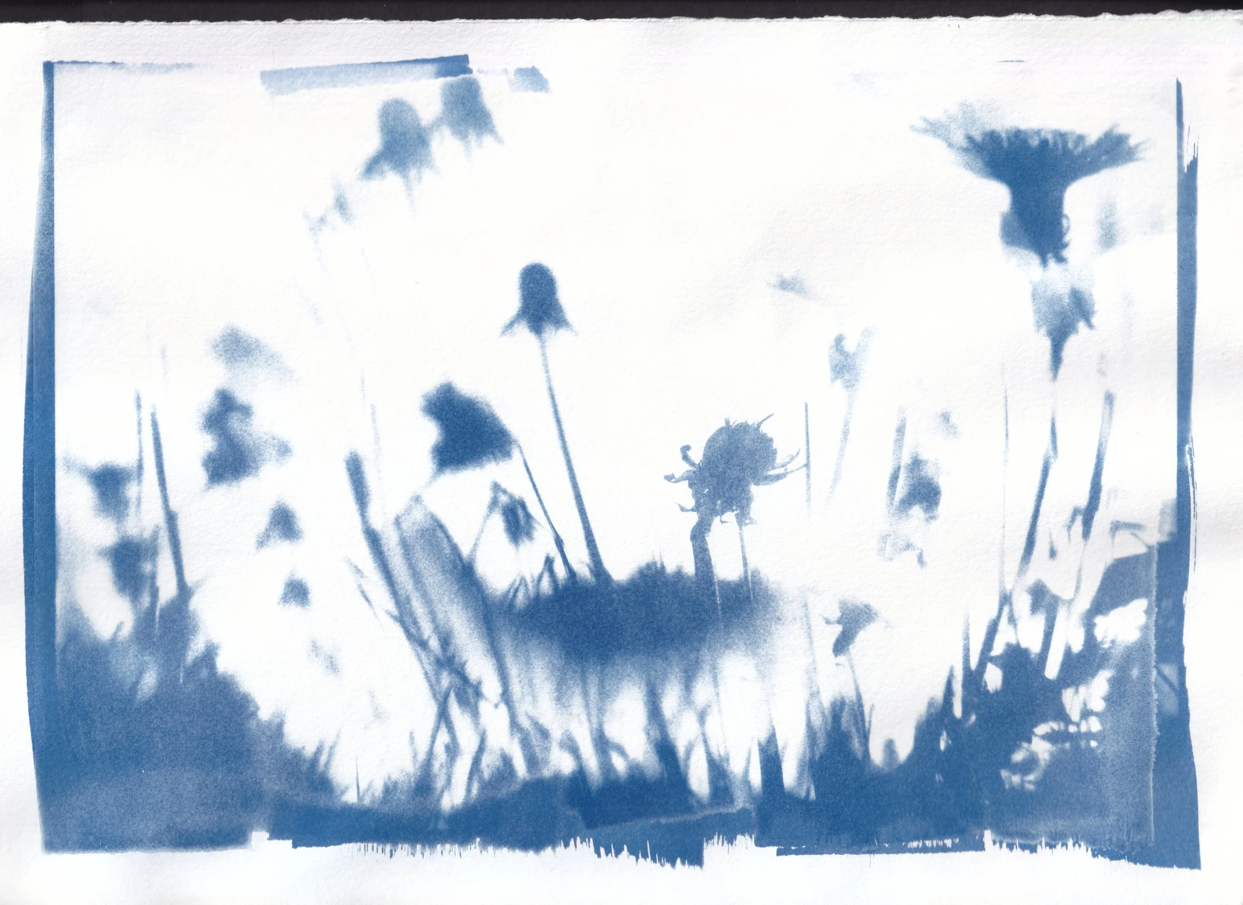 Albo Greene - fractal dandy (2.2026.01).jpg