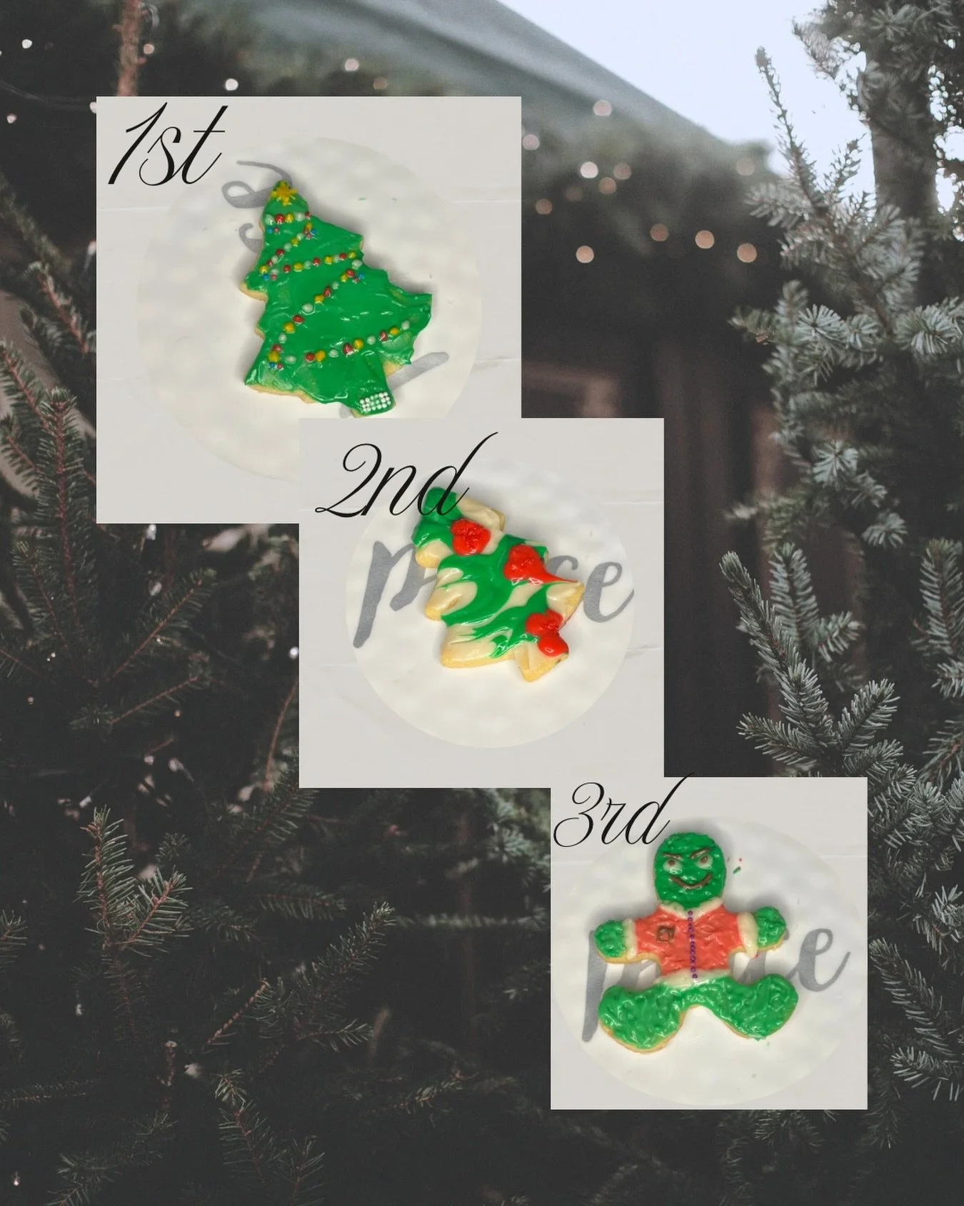 Our winners for 2025 Christmas Cookie Contest 🍪
🥇#5
🥈#2
🥉#8

Thank you for voting and being part of our yearly Cookie Contest! Until next time 🤗