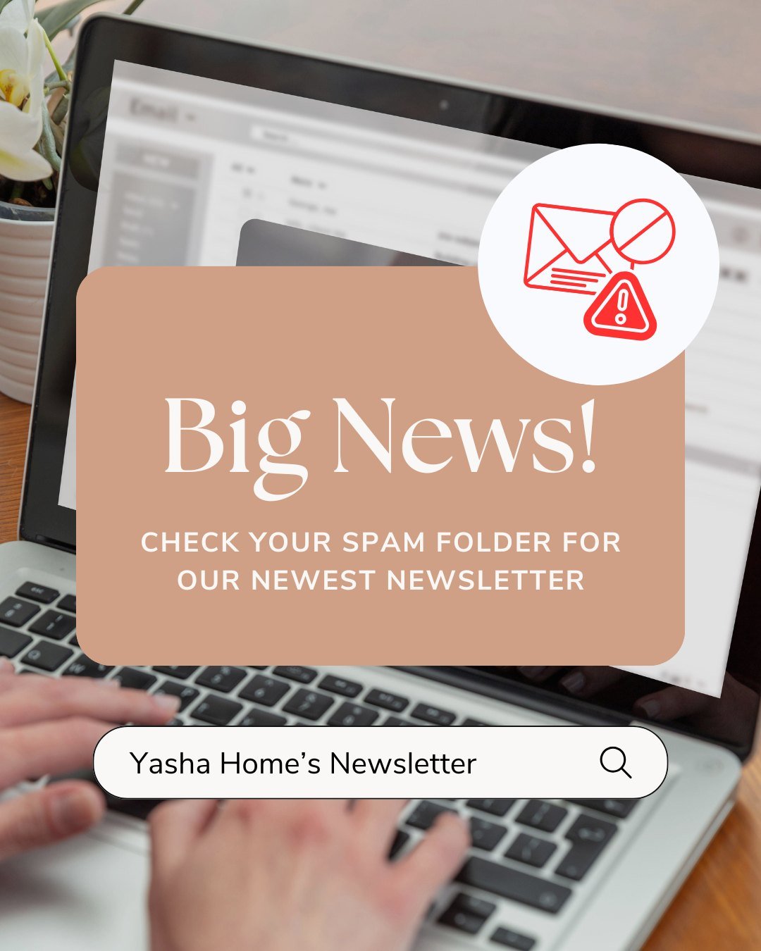 ‼️We recently switched to a new email platform, and some of our newsletters may have been filtered into spam or junk folders. 📩

We have some exciting updates and stories to share, and we&rsquo;d hate for you to miss out! If you&rsquo;re on our news
