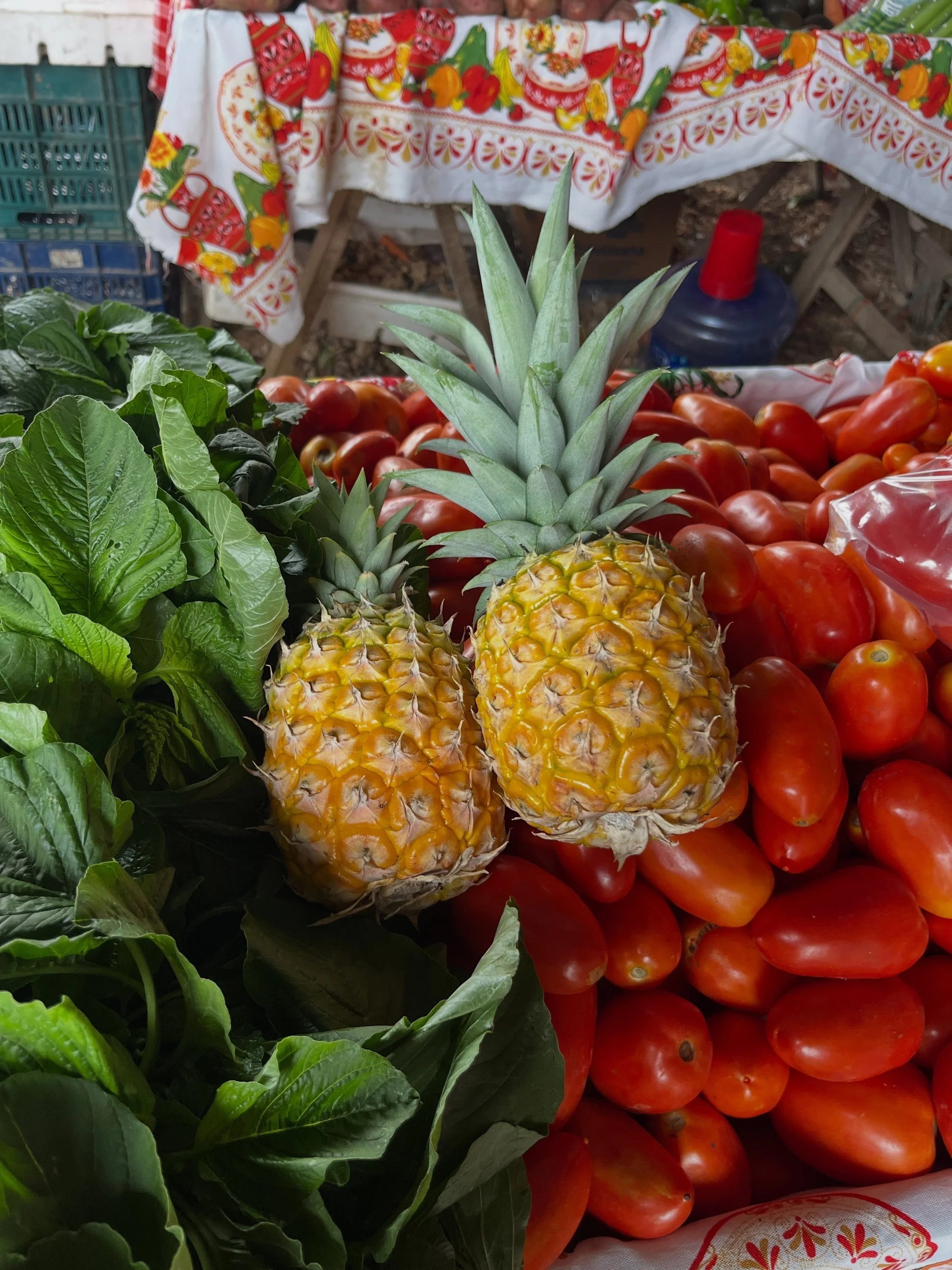 One of our favorite weekly activities is heading to the local market for fresh produce. 🥒🥕🍅

Along the way, the girls learn how to plan meals, try new recipes, and creatively substitute ingredients when needed. Grocery shopping also gives them val