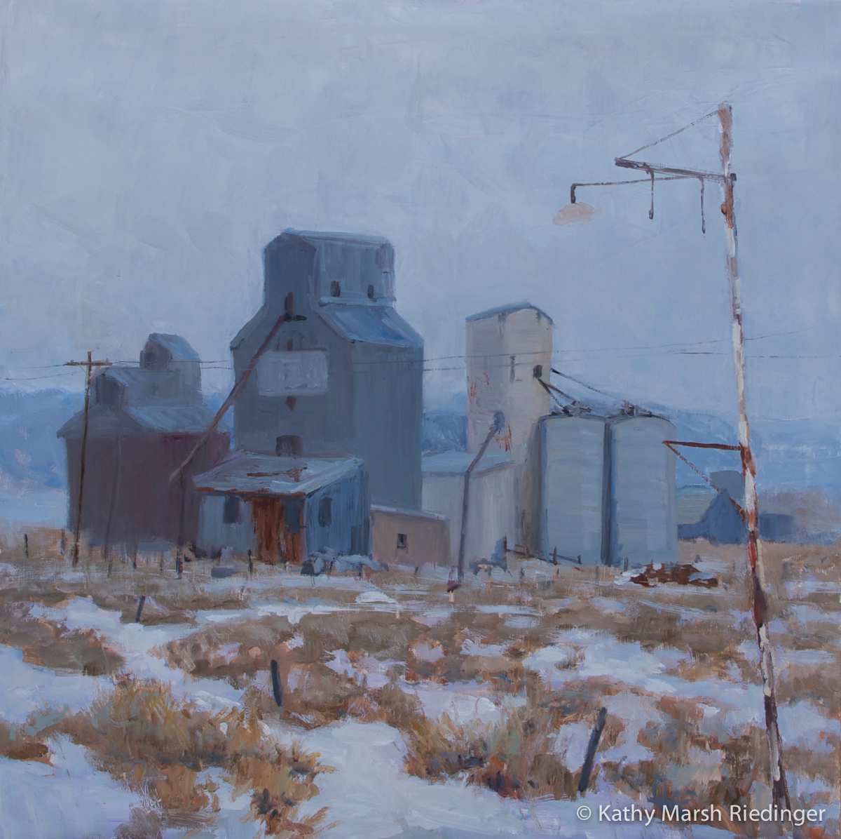 Hibernation 24x24 - Oil on Board Sold