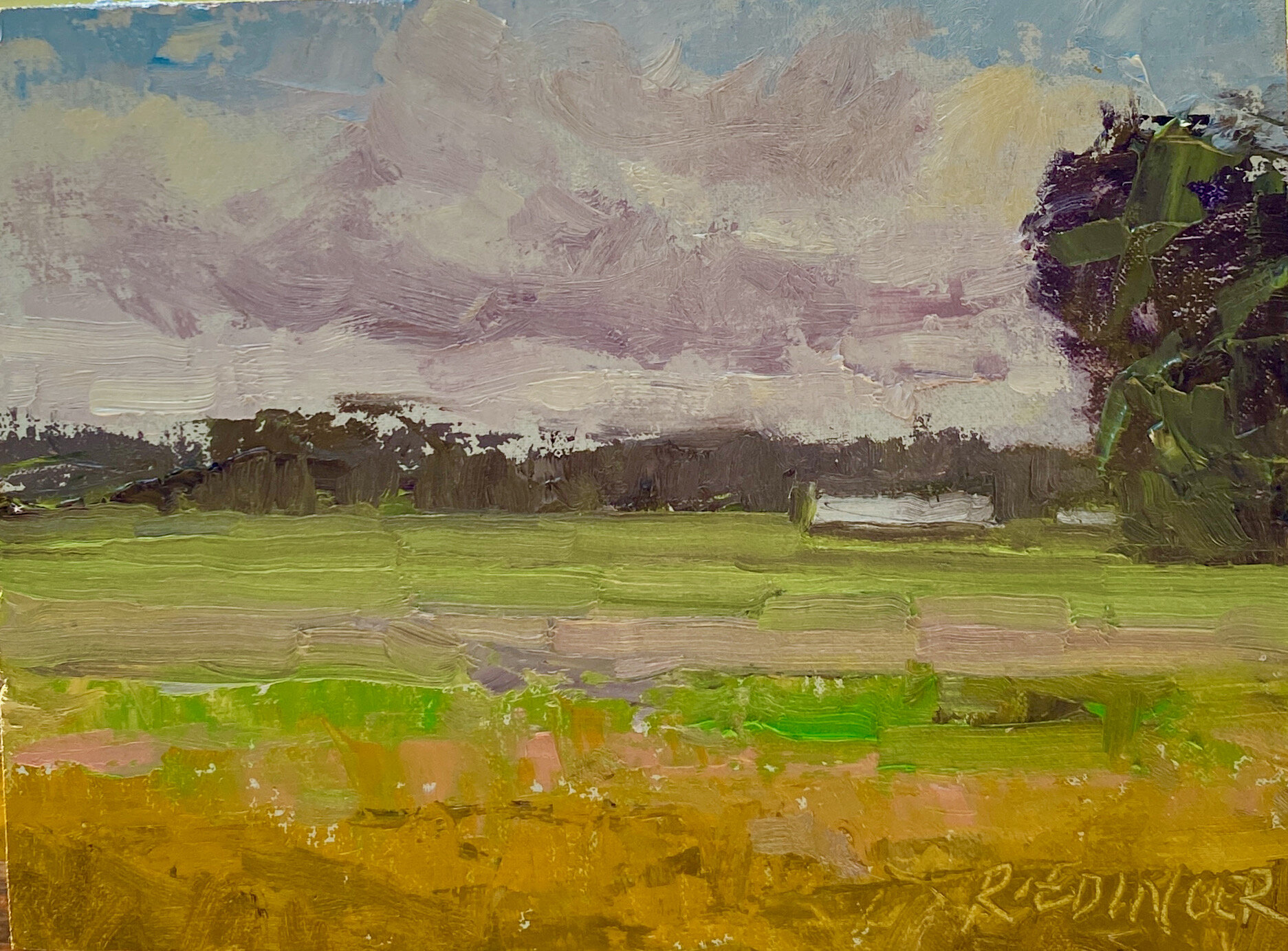 Field of Gold 6x8 Oil Available thru Kathy
