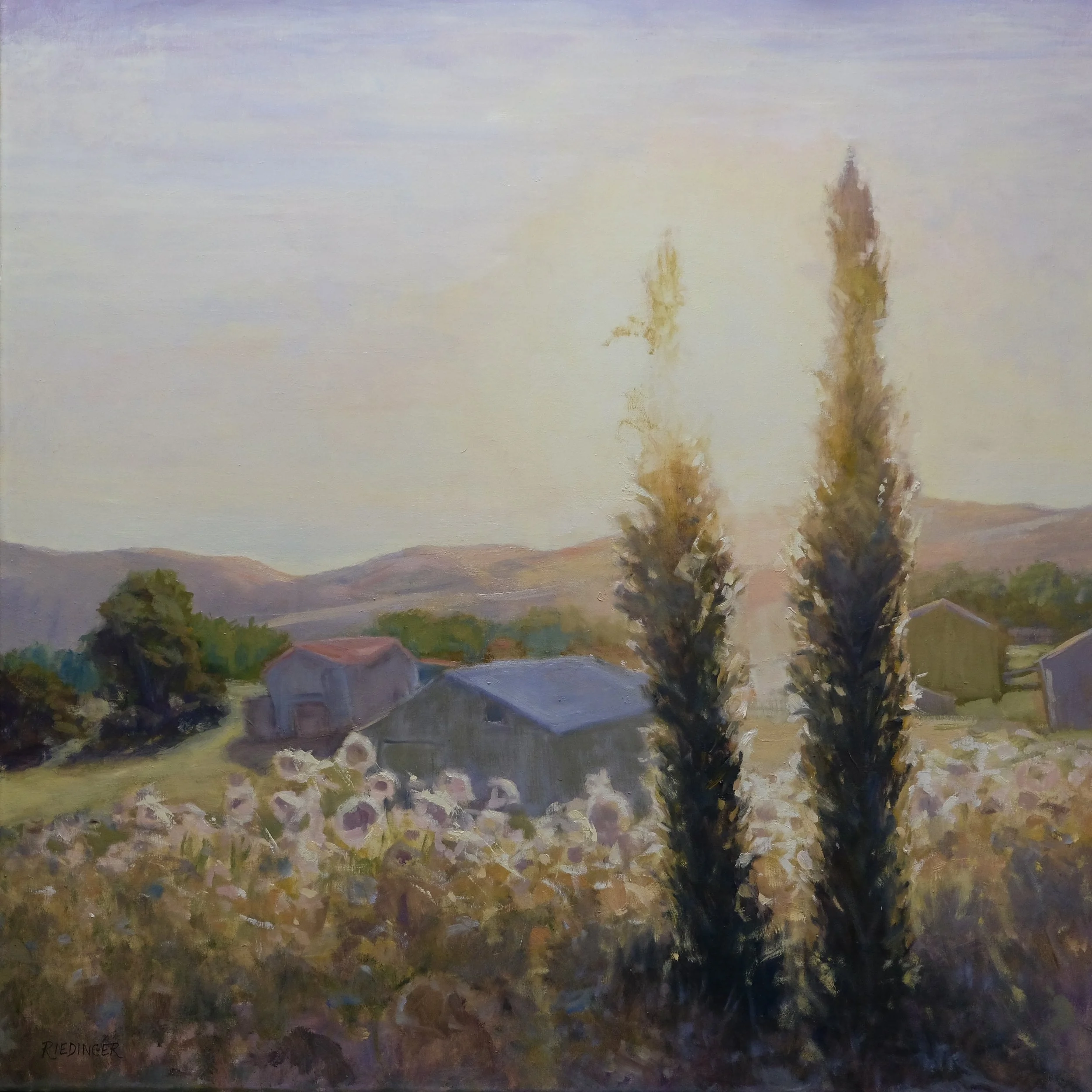 Wine Country - 36x36 Oil