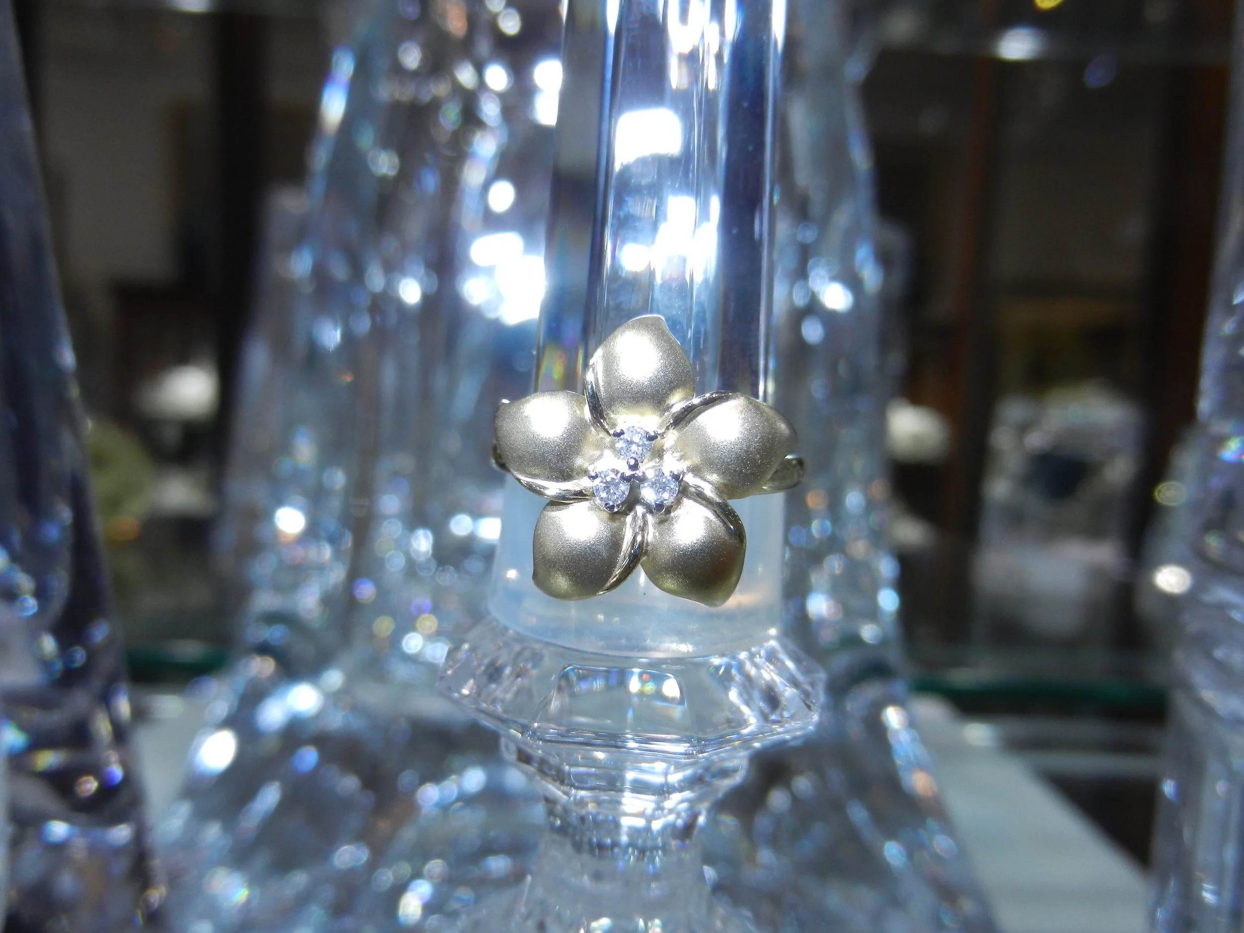 DSCN6778.JPG
