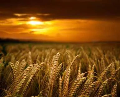 A Litany of Humility