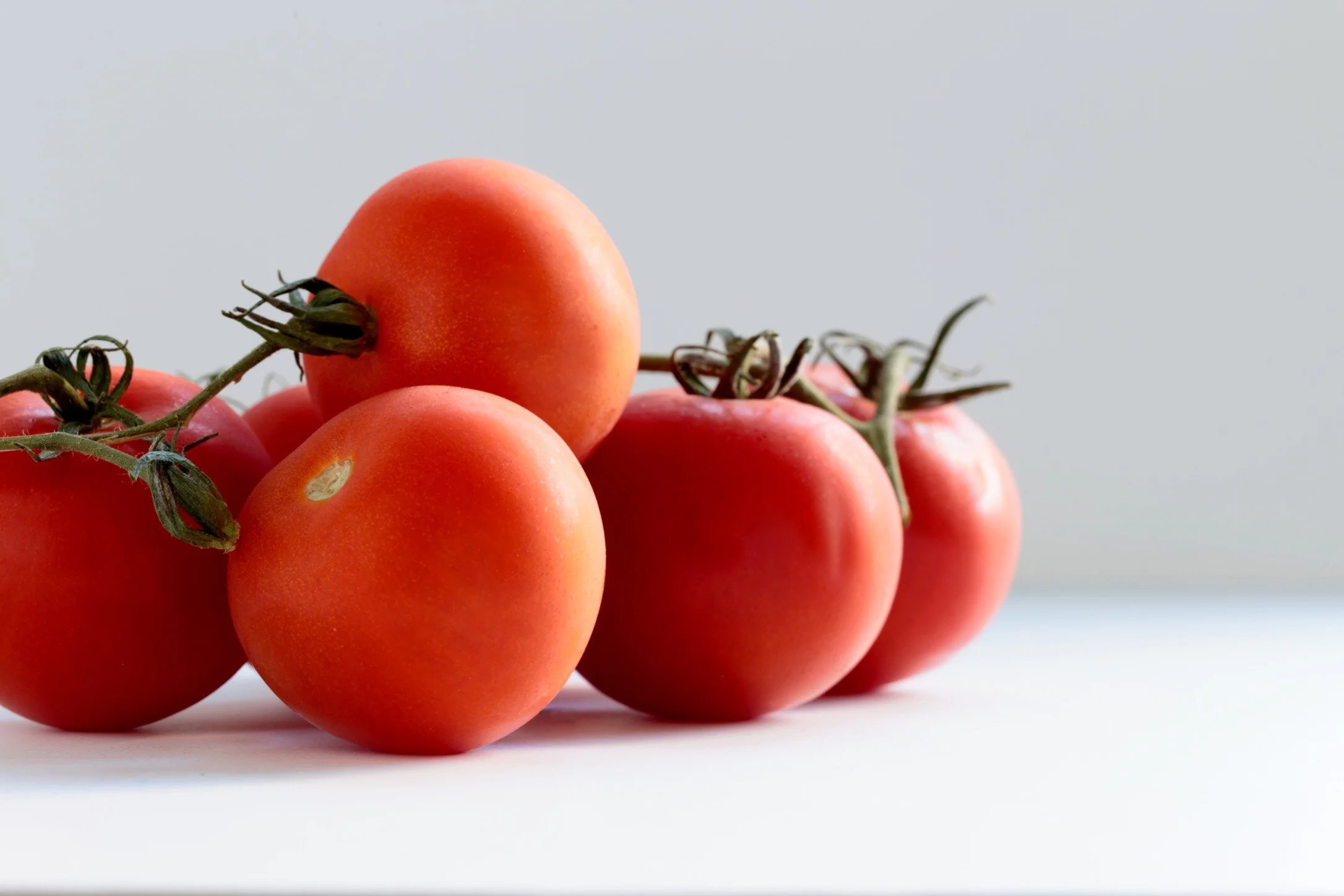 Tomato Paste