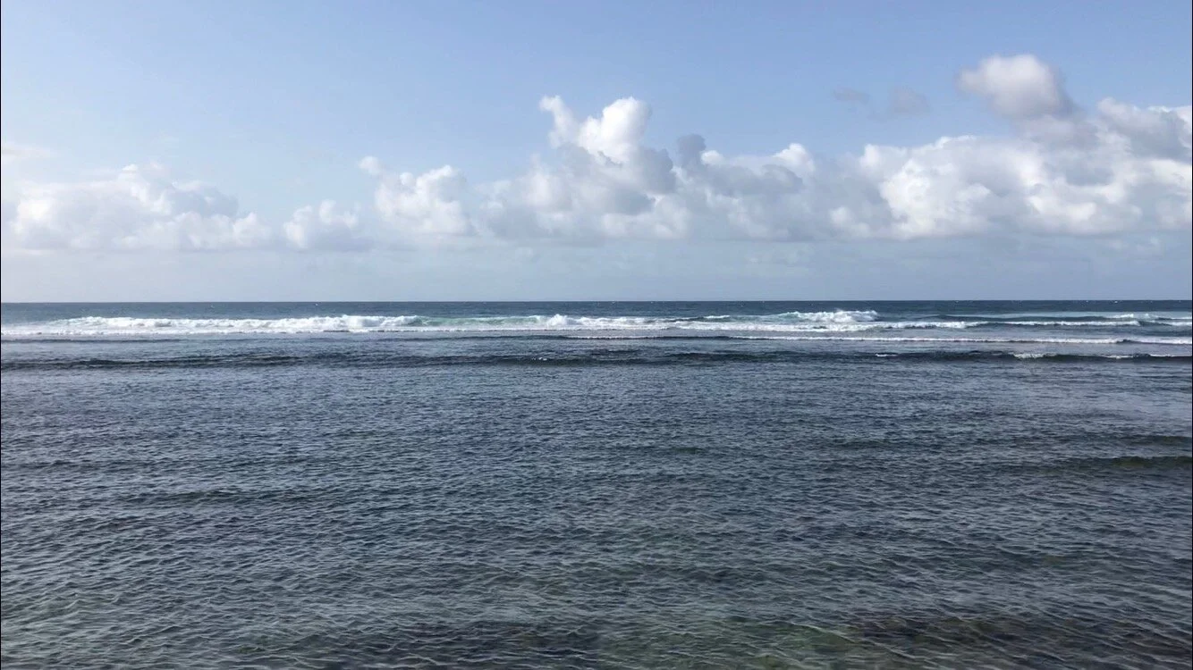beside the sea (dominica)...