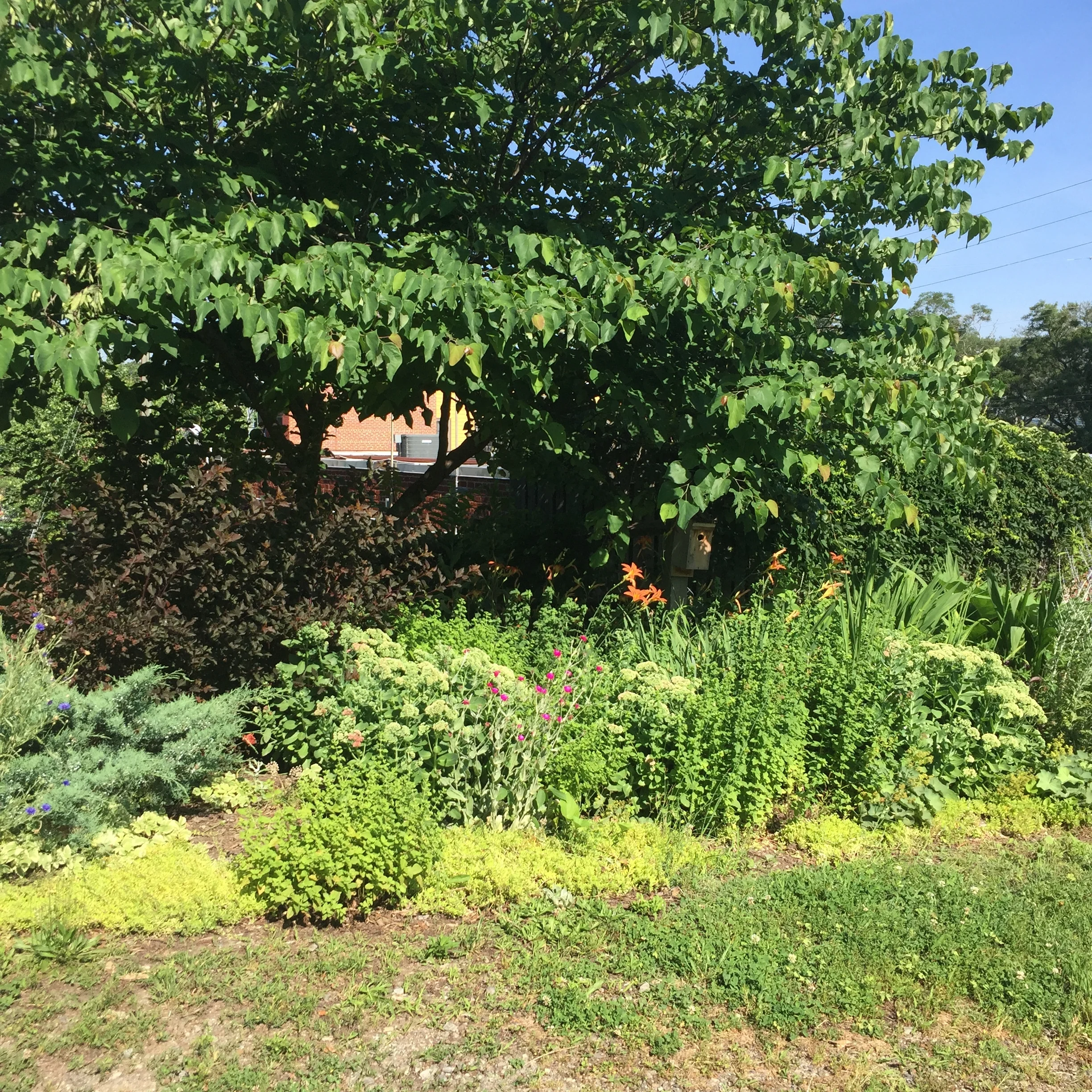 Do You Want a Park?  Then Urgent Action Needed!  