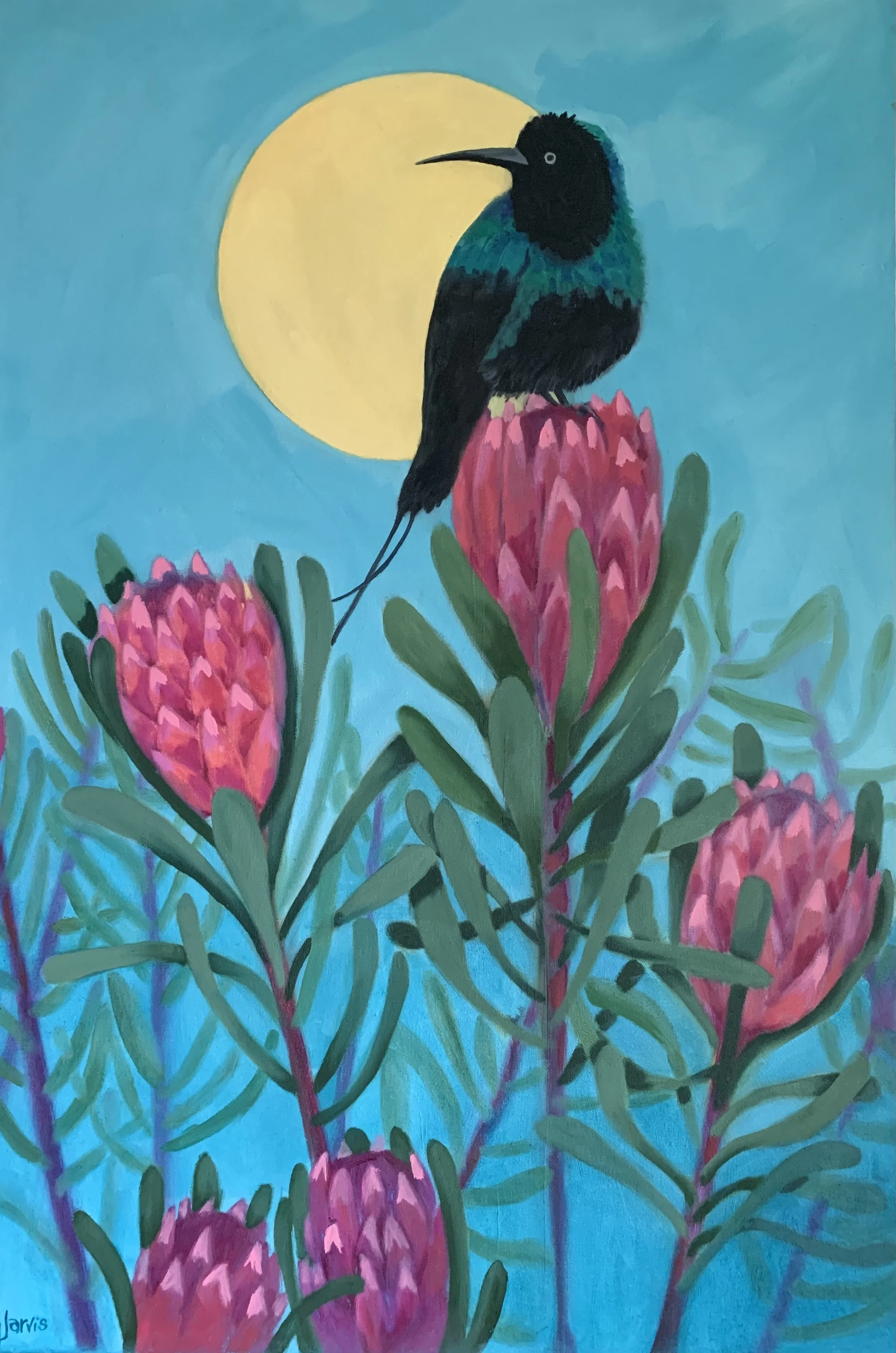 sunbird51x77cm.jpg