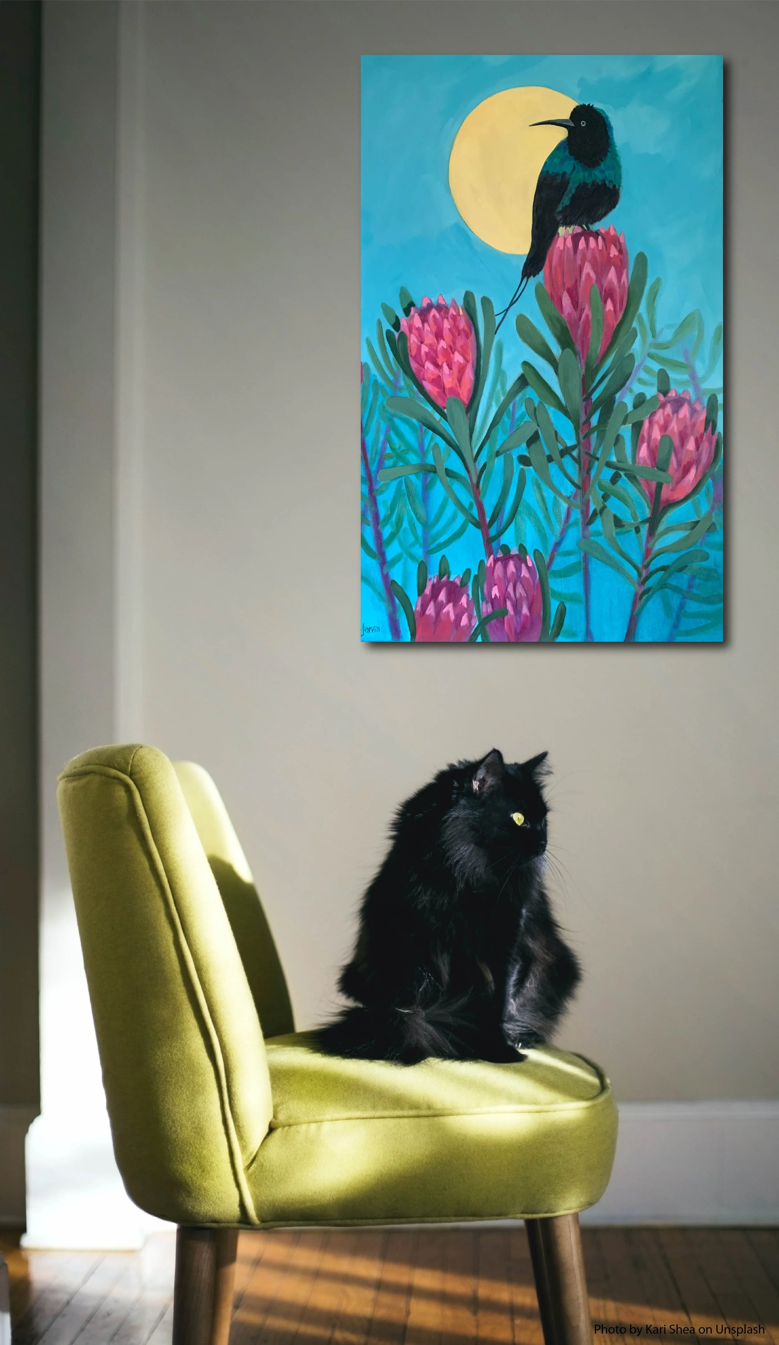 sunbird_wall1-01.jpg