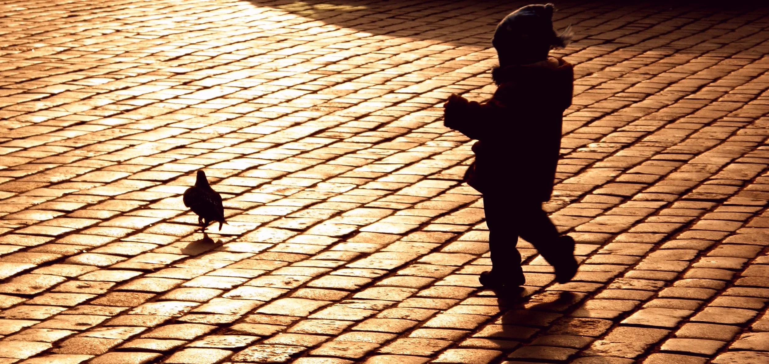 Essentials for Childhood: Steps to Create Safe, Stable and Nurturing Relationships
