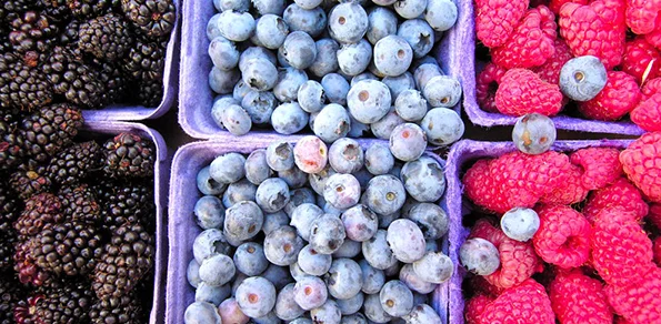 Comox Valley Farmer’s Market Nutrition Coupon Program