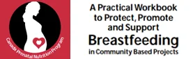 Breastfeeding Manual Available on PHAC Website