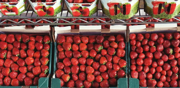 March was Nutrition Month 2016