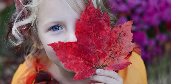 Little Mountain Neighbourhood House PLANE Toolkit: Ideas for Physical Literacy and Nature Exploration with Children