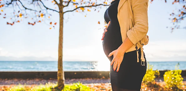 CPNP Successes: A Postnatal Program in Victoria