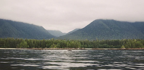 CPNP: Becoming Mobile in Tofino-Ucluelet