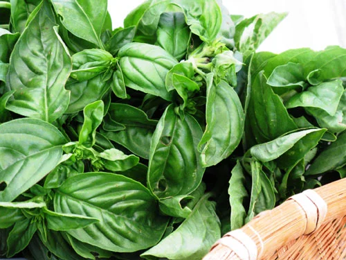 Farmers' Market Success in Squamish & Pemberton