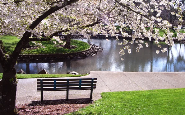 ParkBench-SXC.hu-User-renaudeh-small.jpg