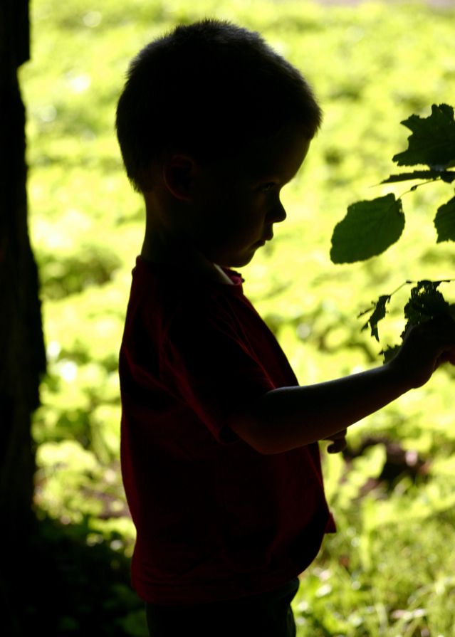Forest and Nature School in Canada - "Kuba" stock photo FreeImages.com user Wojciech Wolak - Keeping In Touch BC