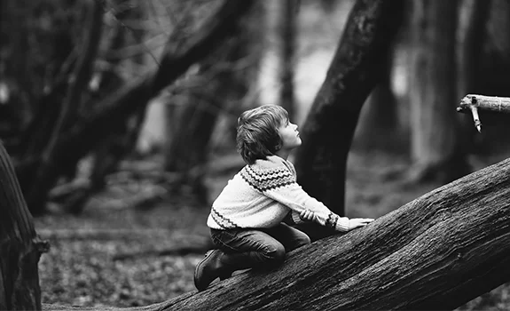 Photo Credit: Annie Spratt, Unsplash Free Stock Photo 1451470838681-d2856d3048a3