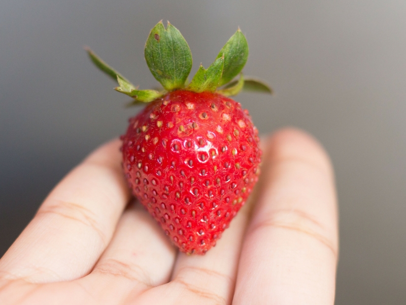 Photo Credit: Unsplash User Marc Fulgar
