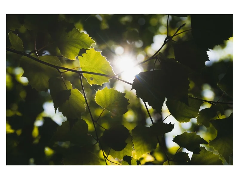 Photo Credit: Unsplash User Kai Pilger