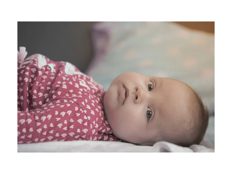 Photo Credit: Unsplash User Verdes Cosmin