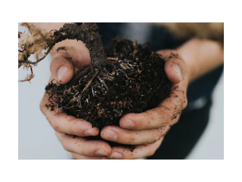Photo Credit: Unsplash User Kyle Ellefson