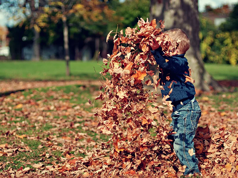 Photo by Unsplash user: Scott Webb