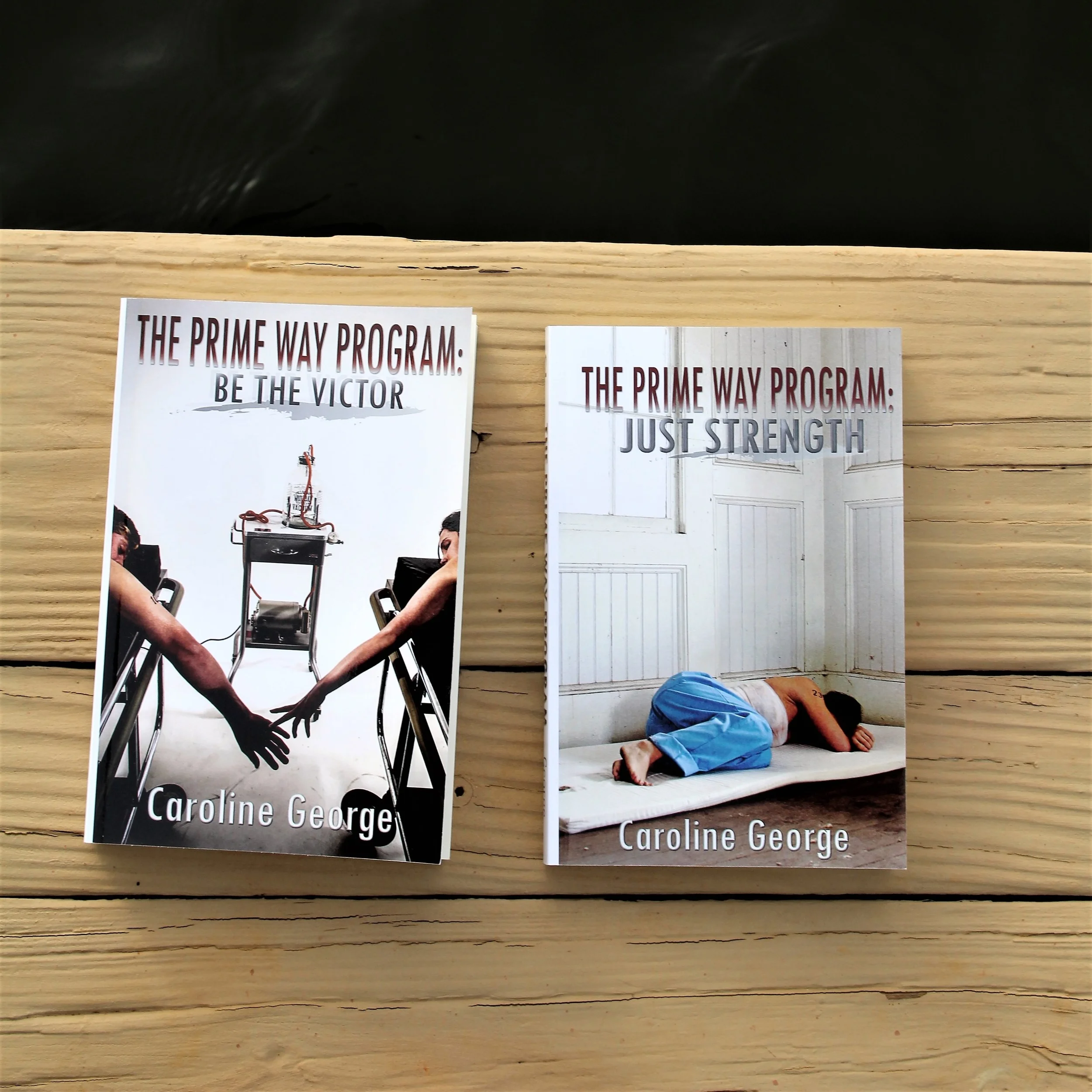 Writing for the Rodeo: How to Ride the Ups and Downs of Publishing