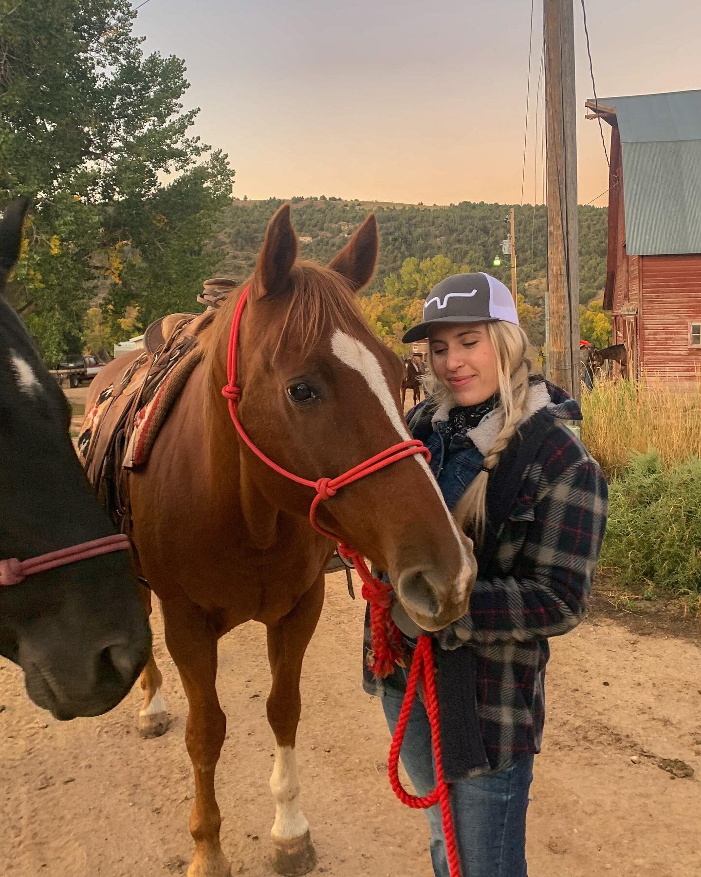 I could write a love letter to Ten Sleep, Wyoming. &hearts;️ 

Four months ago, I visited my friends&rsquo; ranch for the first time. I didn&rsquo;t expect the trip to become a pivotal moment in my life. Within a few days, I fell hard for the land an