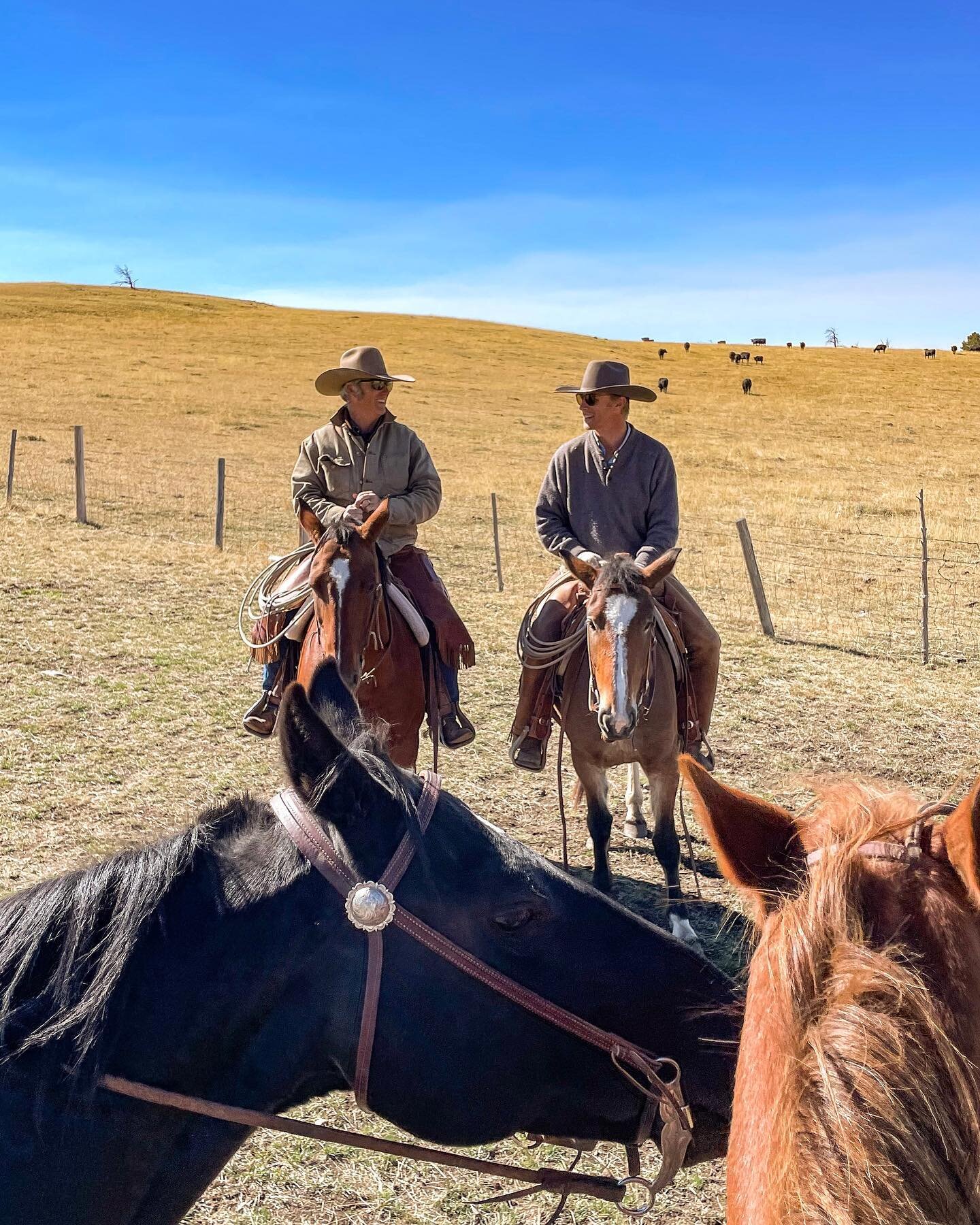 Junipers and sagebrush. A pickup jouncing up a dirt road. Stirrups and saddles. Moving cattle eight miles. Horses hobbled as we picnicked in the high country. 

My Notes app is overflowing with scribbles from this week. I want to remember every detai