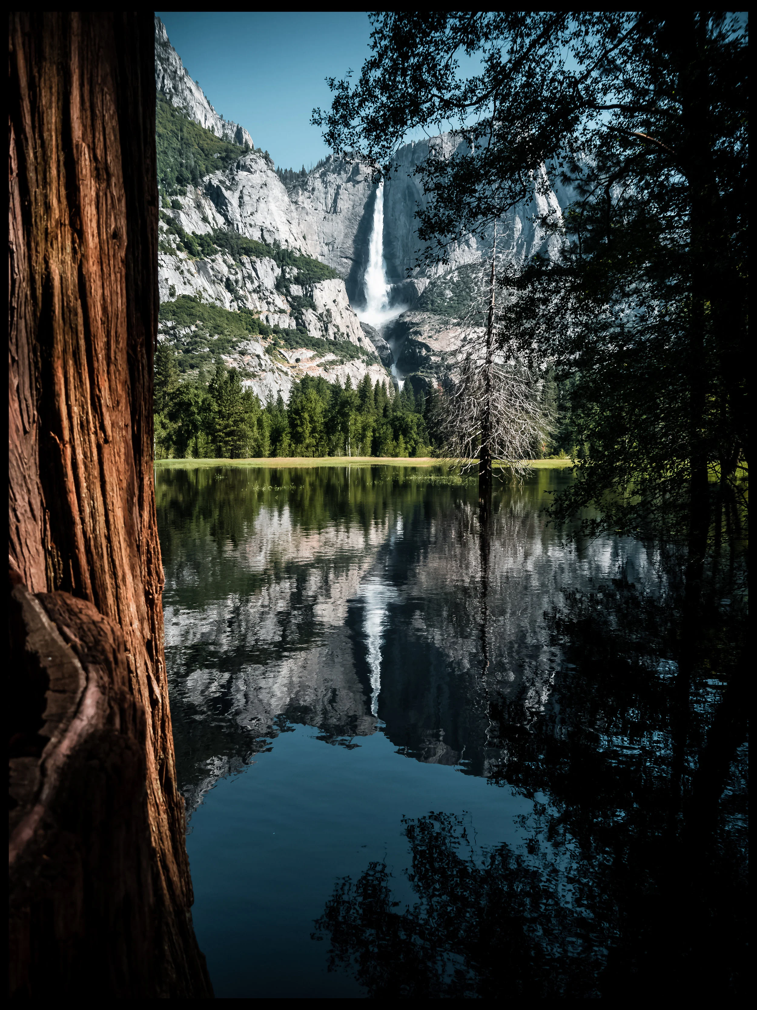 Framing the Falls.jpg