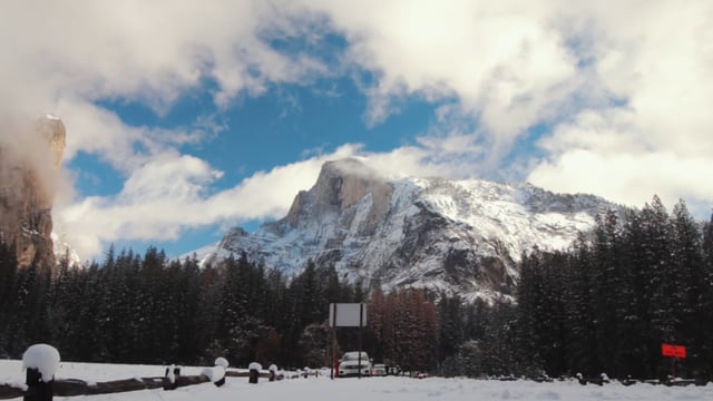 Wandering Yosemite