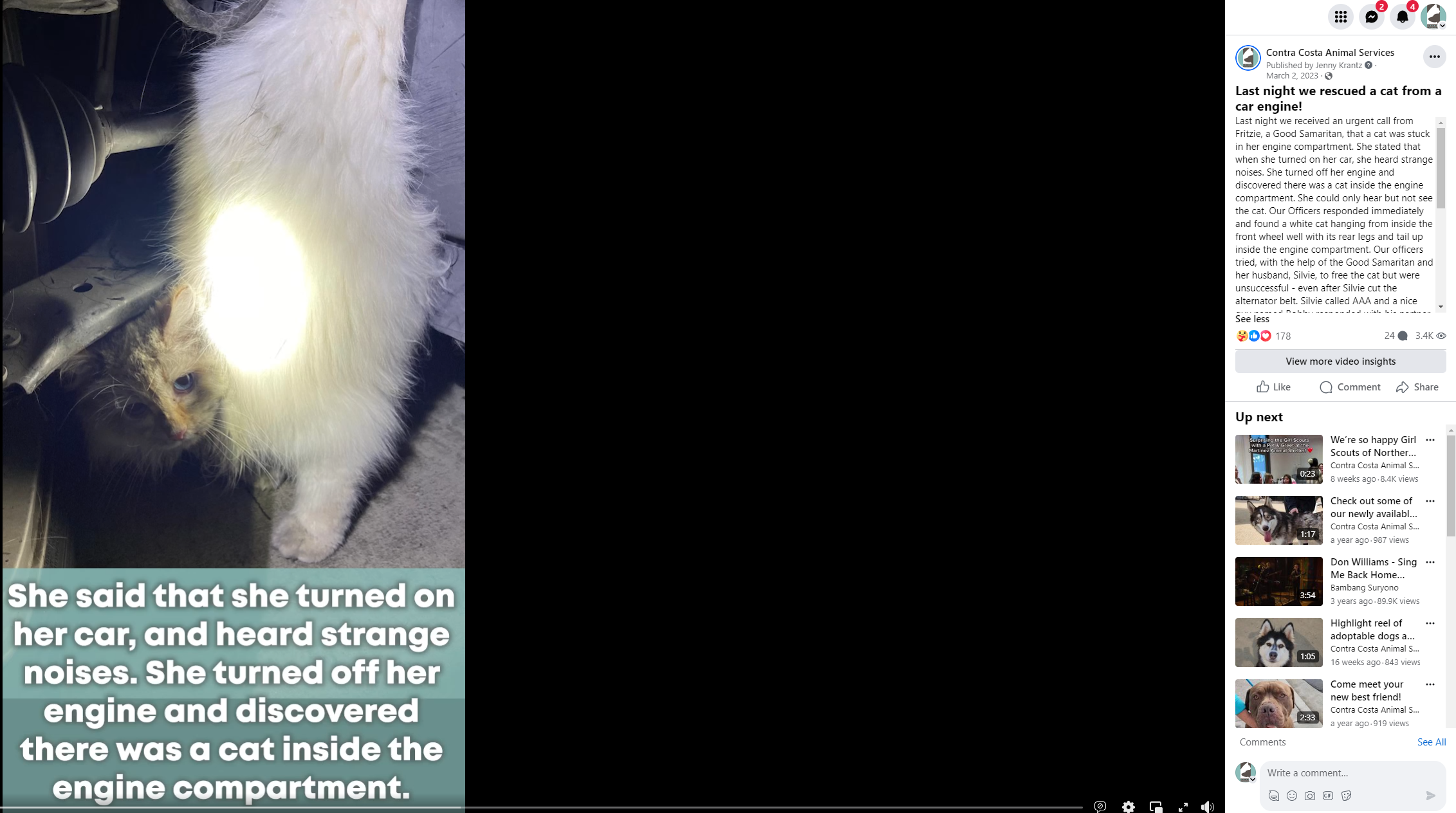 novgiving5CatInCarEngine.PNG