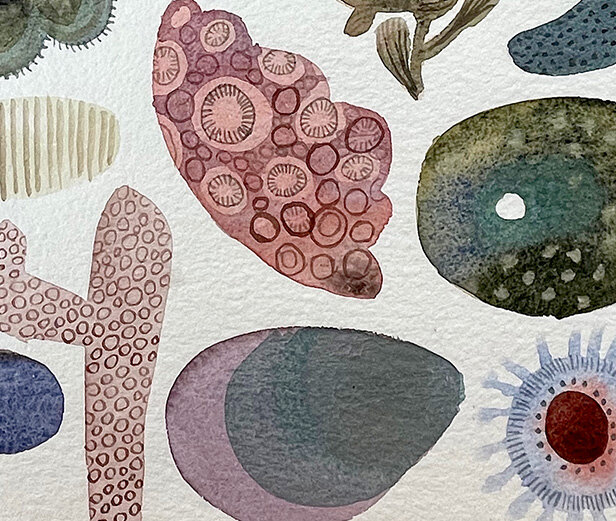 geobio2detail.jpg