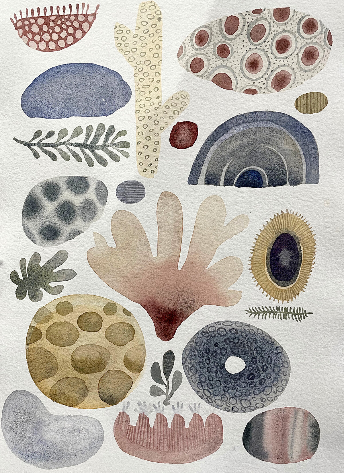 geobio with fan.jpg