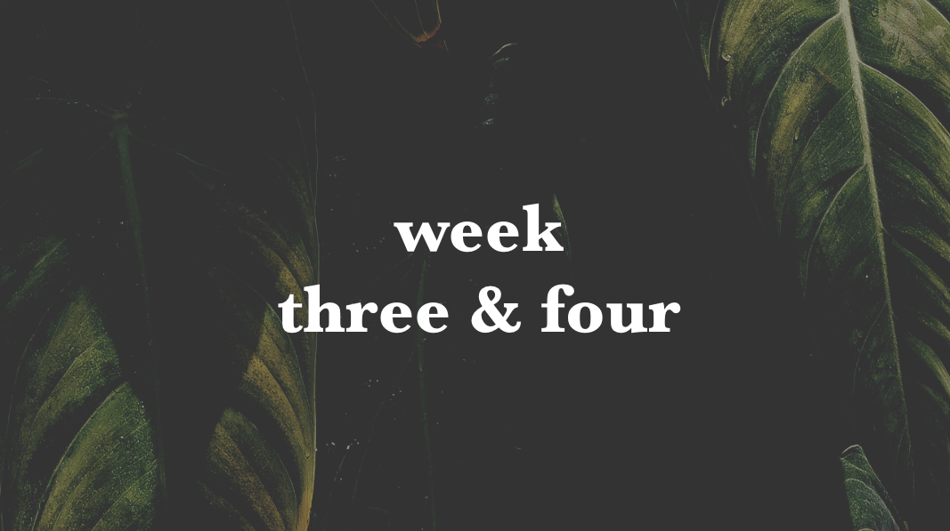 week three and four.png