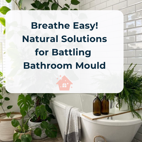 Breathe Easy!  Natural Solutions  for Battling  Bathroom Mould