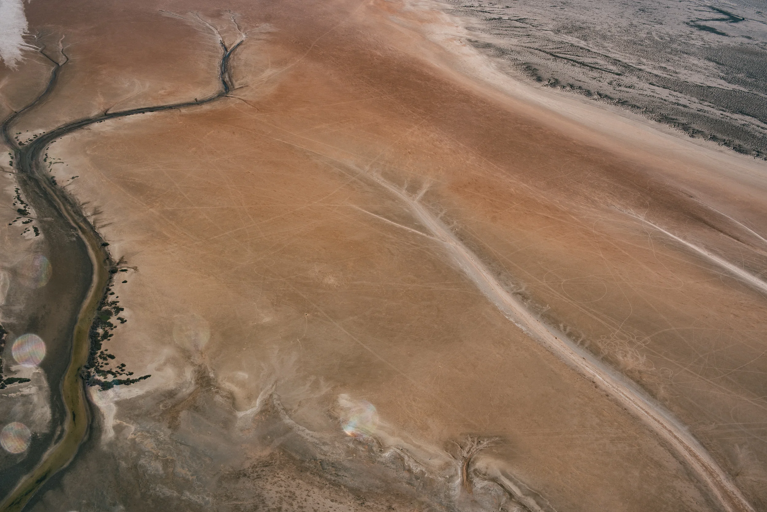 San Ignacio Grey Whales-2367.jpg