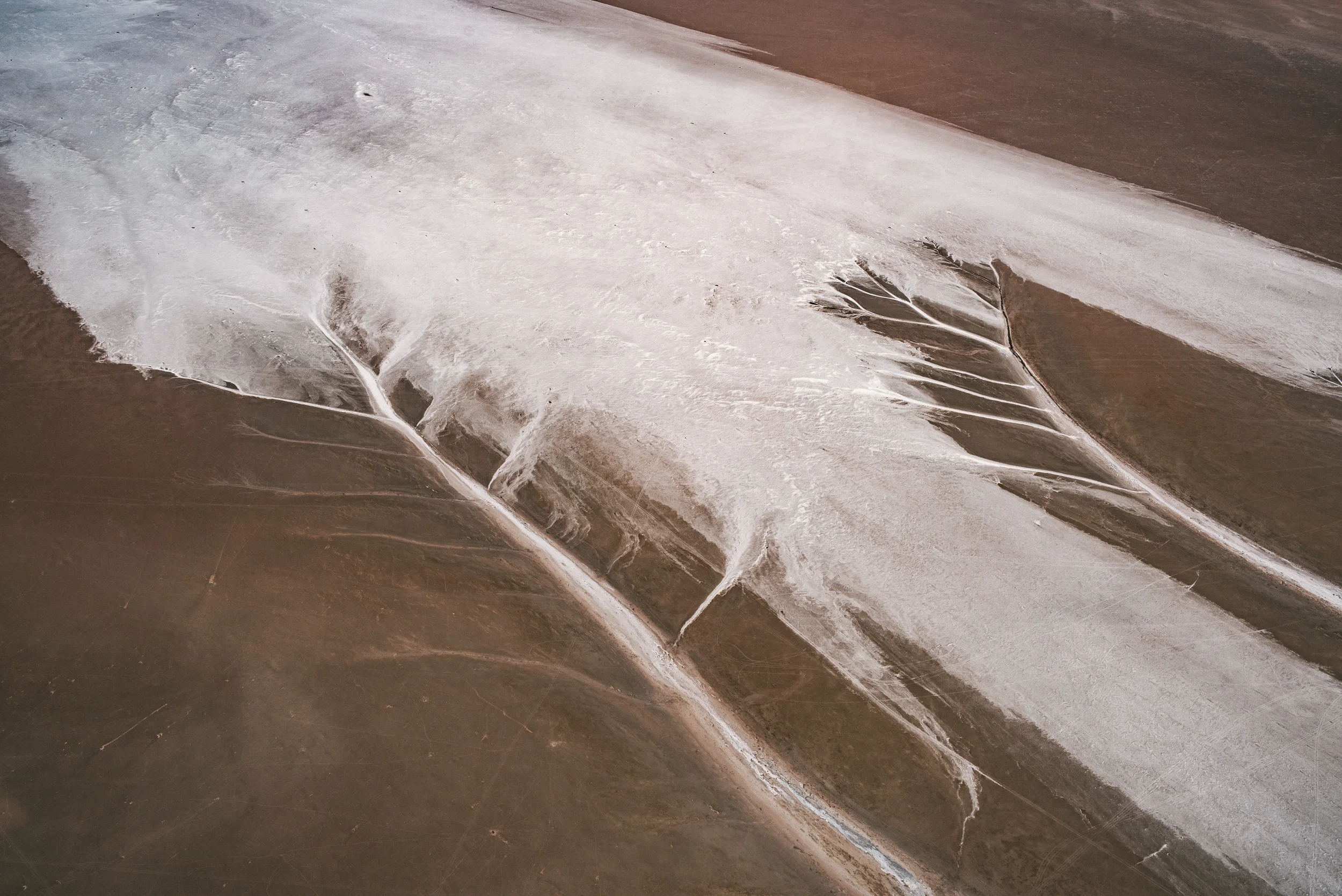 San Ignacio Grey Whales-2378.jpg