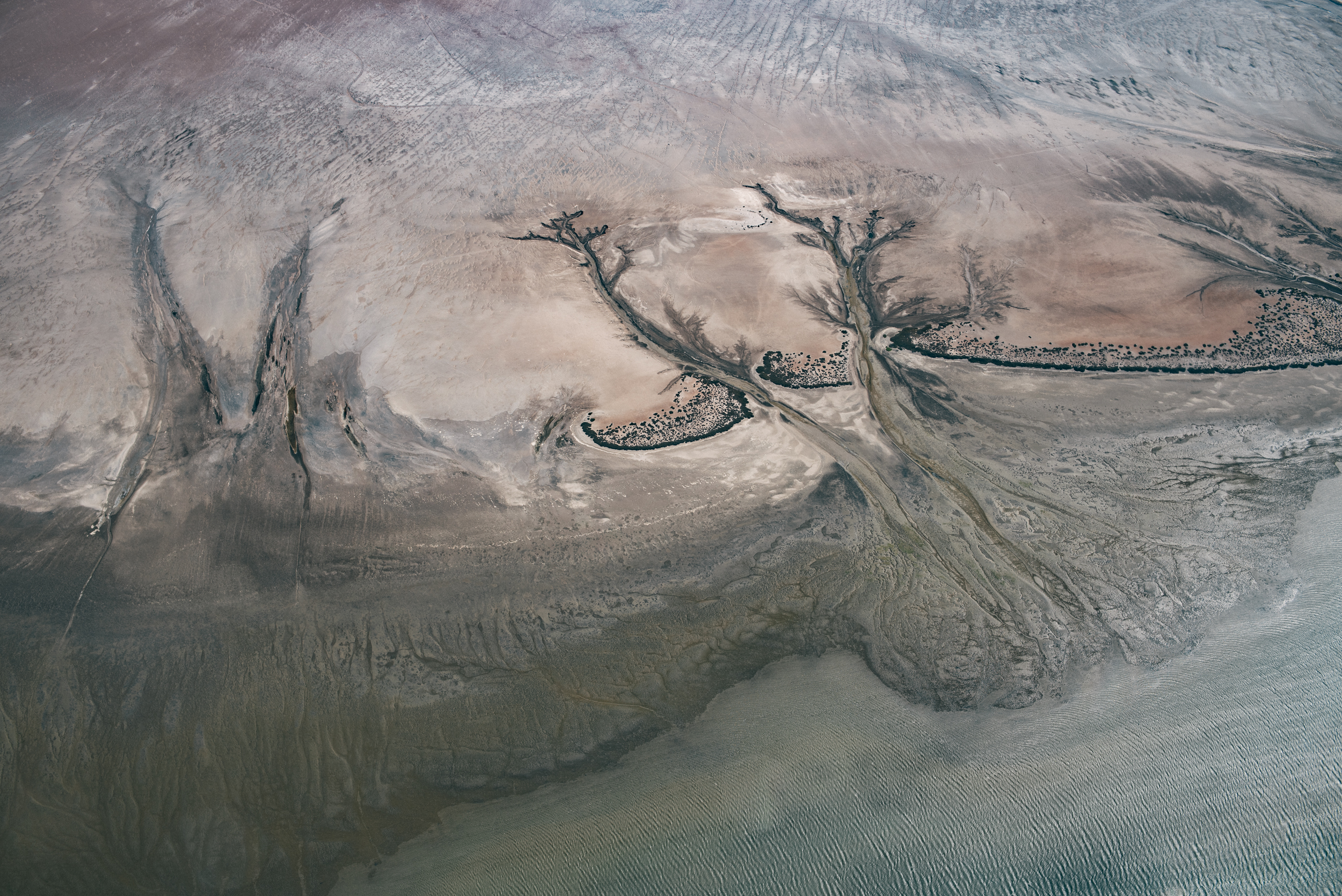 San Ignacio Grey Whales-2397.jpg